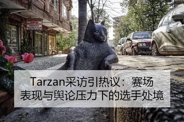 Tarzan采访引热议：赛场表现与舆论压力下的选手处境